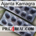 Ajanta Kamagra 31